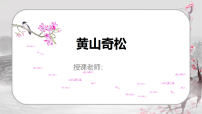 学前教育《黄山奇松》课件
