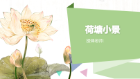 学前教育《荷塘小景》课件