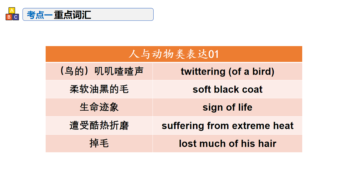 17548446第3页