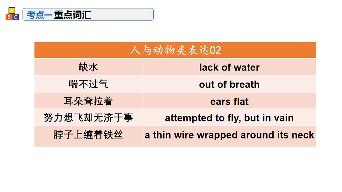 17548446第4页