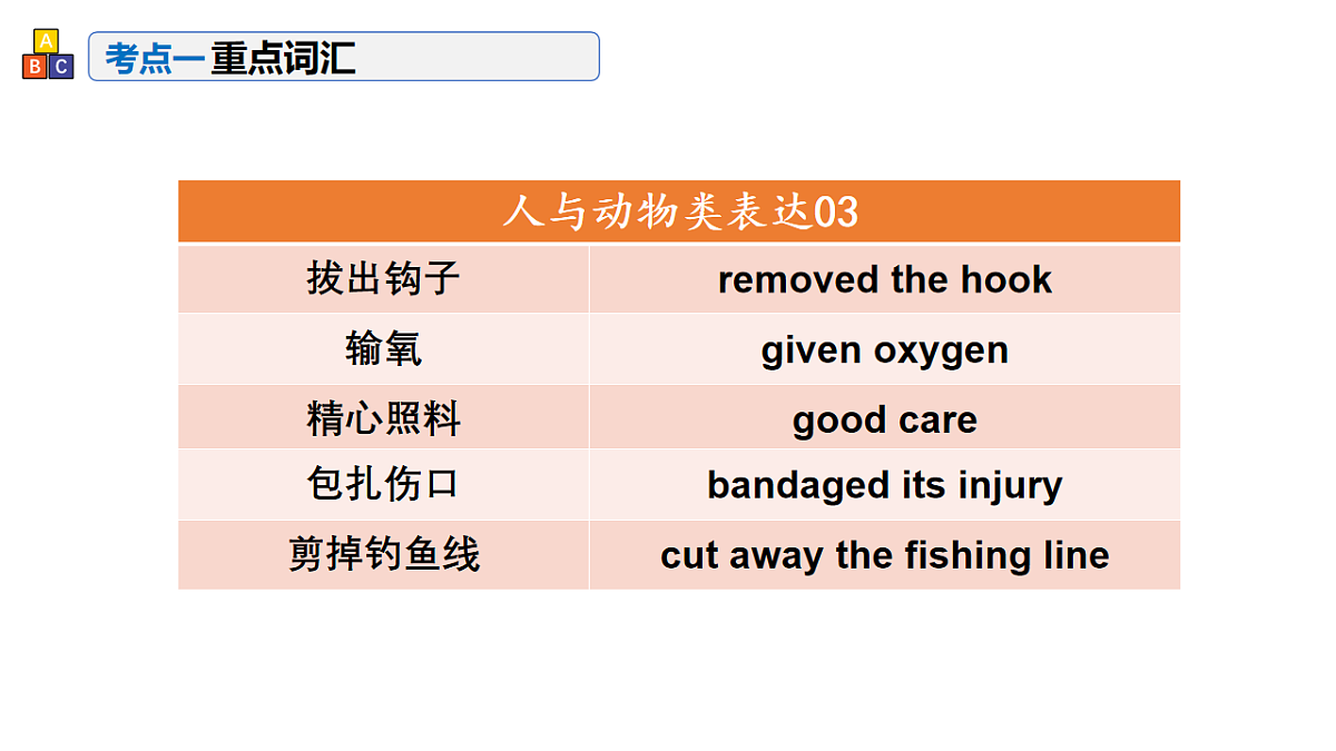 17548446第5页
