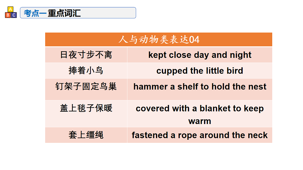 17548446第6页