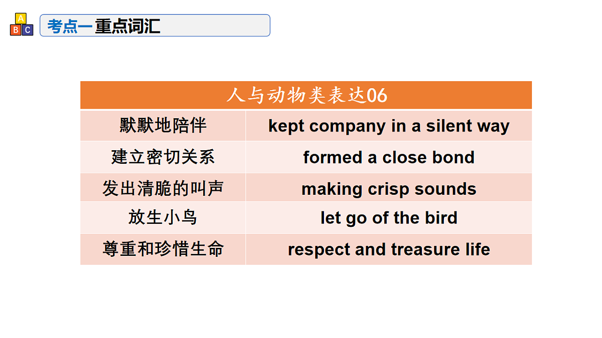17548446第8页