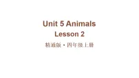 小学英语人教精通版（2024）四年级上册（2024）Lesson 2教学课件ppt