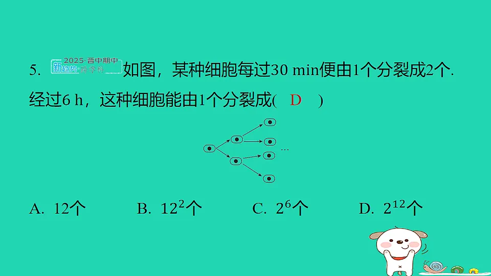 17550737第5页