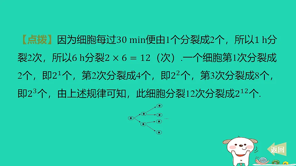 17550737第6页