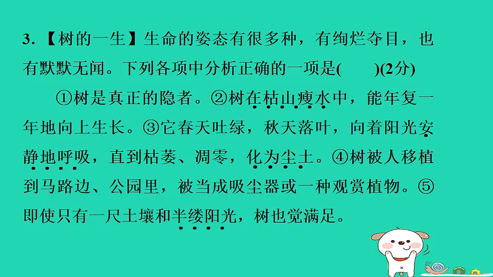 17550995第7页