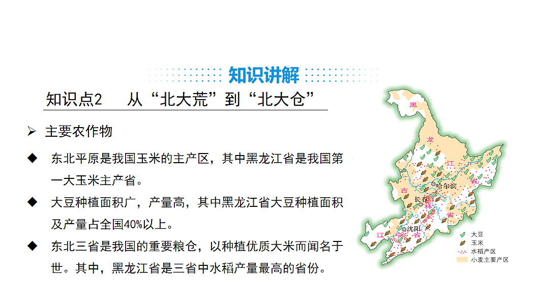 17553577第8页