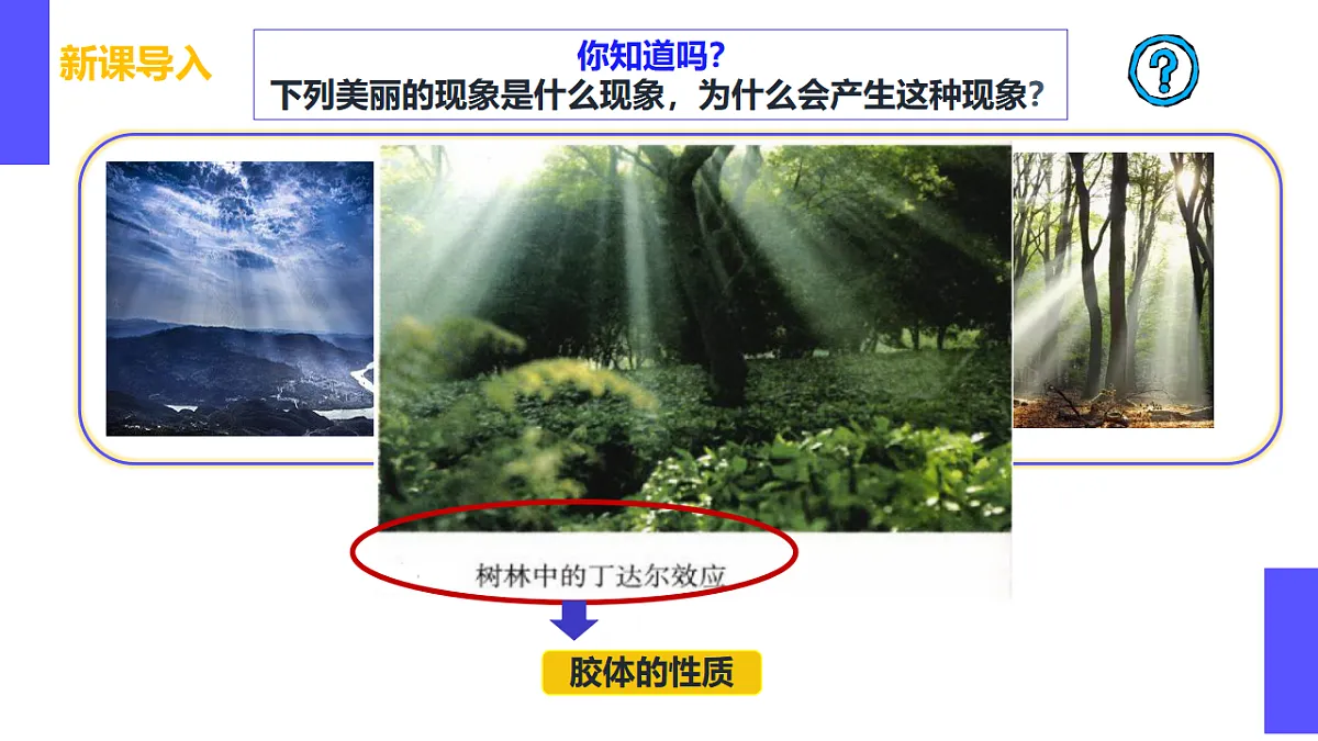 17553988第4页