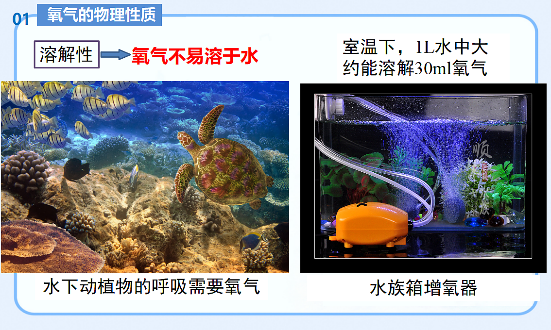 17554383第8页