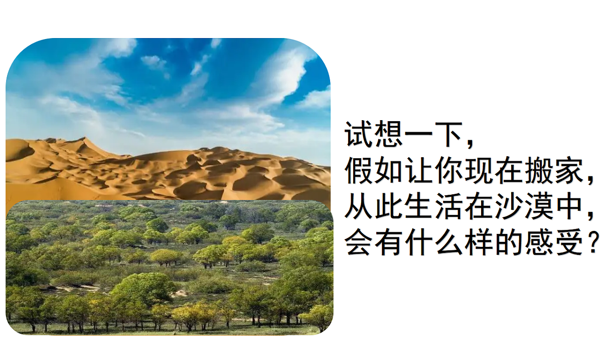 17555564第2页