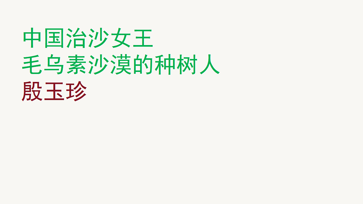 17555564第3页