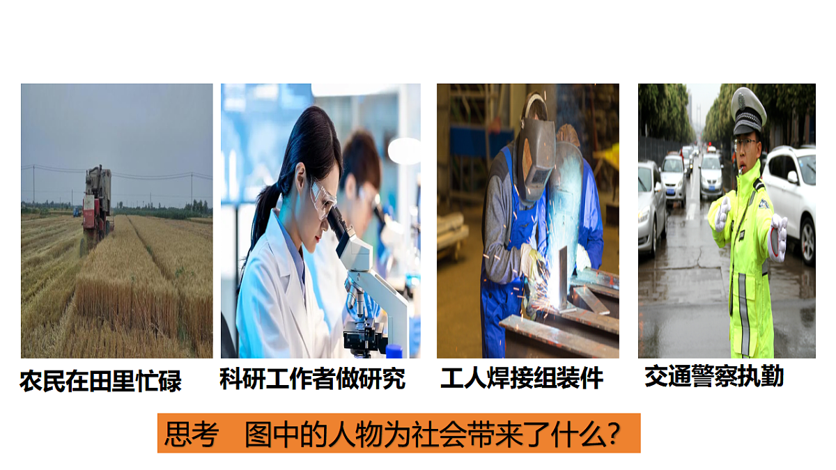 17555564第5页