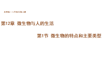 北师大版（2024）八年级上册（2024）微生物的特点和主要类型教学课件ppt