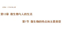 北师大版（2024）八年级上册（2024）微生物的特点和主要类型教学课件ppt