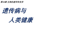 生物八年级上册（2024）遗传病与人类健康教学课件ppt