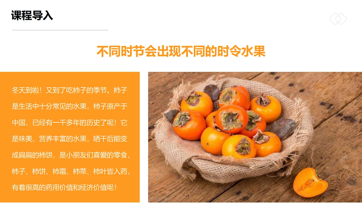 17557306第5页