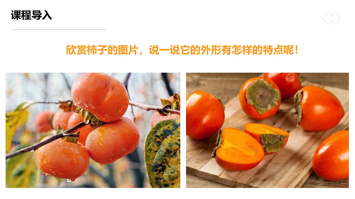 17557306第6页