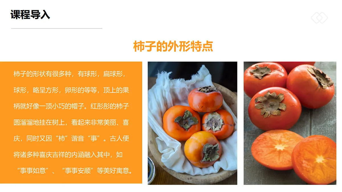 17557306第7页