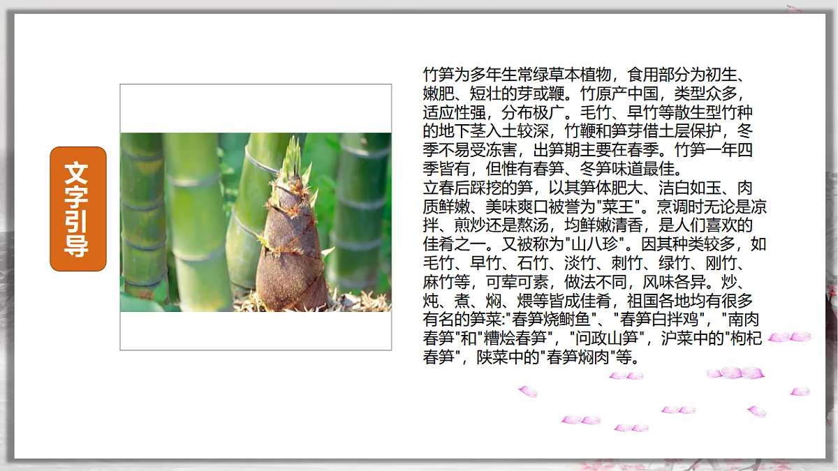 17557316第4页