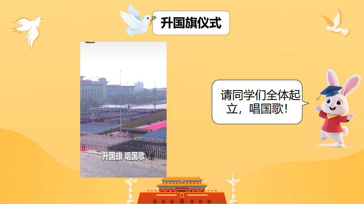 17557635第4页