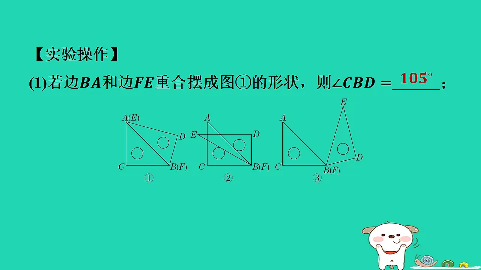 17558481第3页