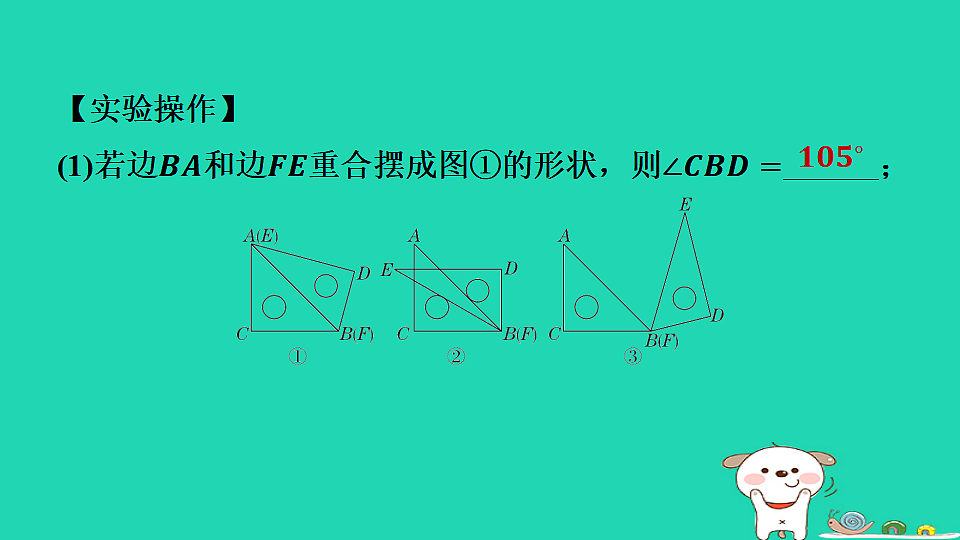 17558481第3页