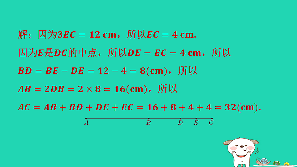 17558498第3页