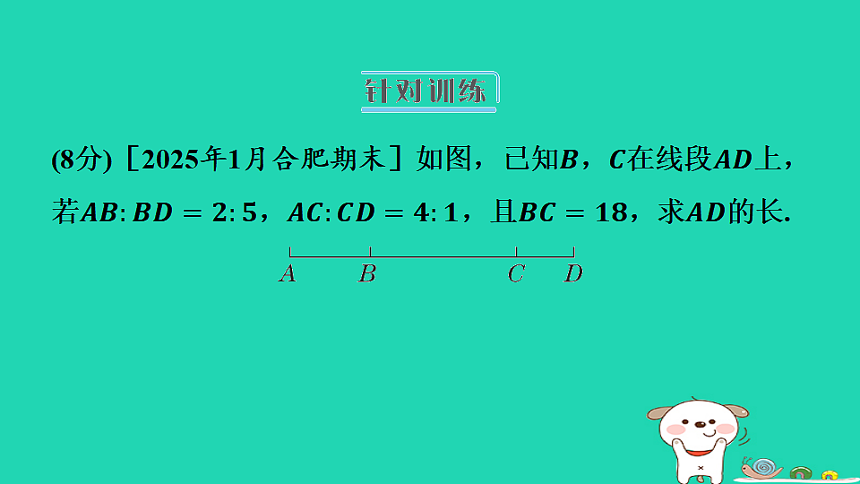 17558498第6页