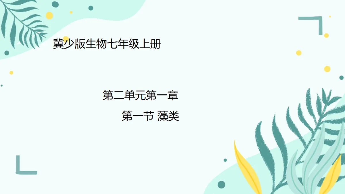 17563645第1页