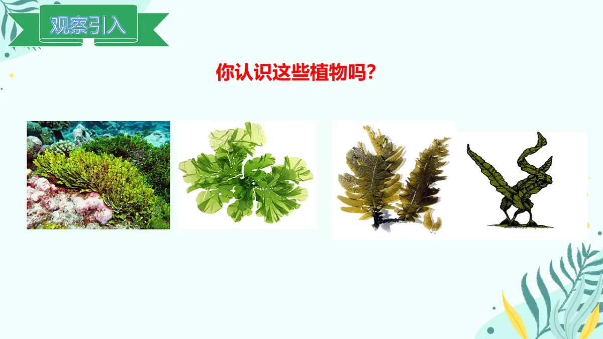 17563645第2页