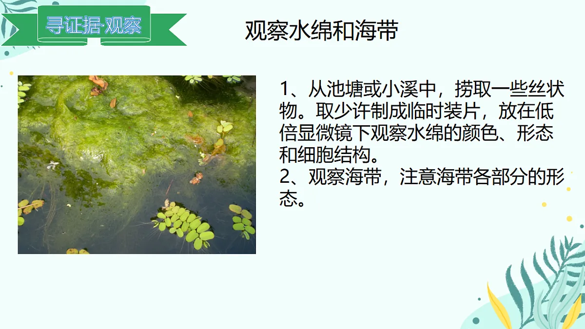17563645第3页