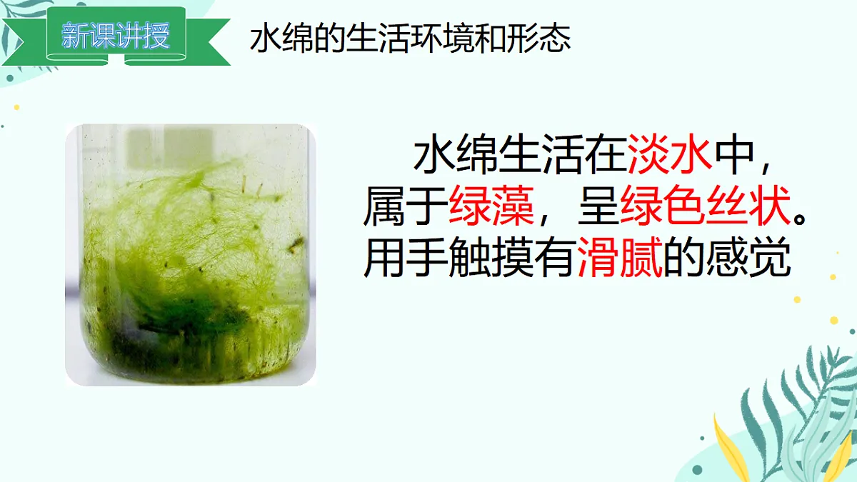 17563645第5页