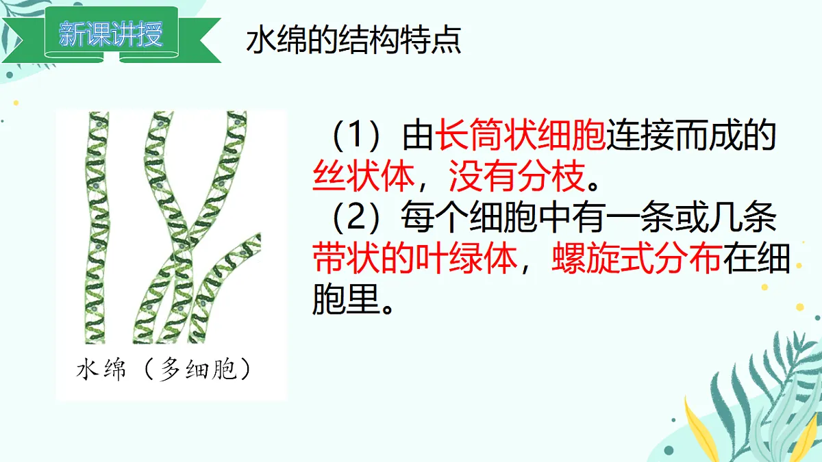 17563645第6页