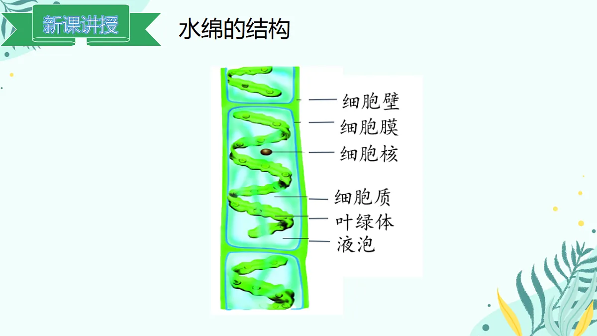 17563645第7页