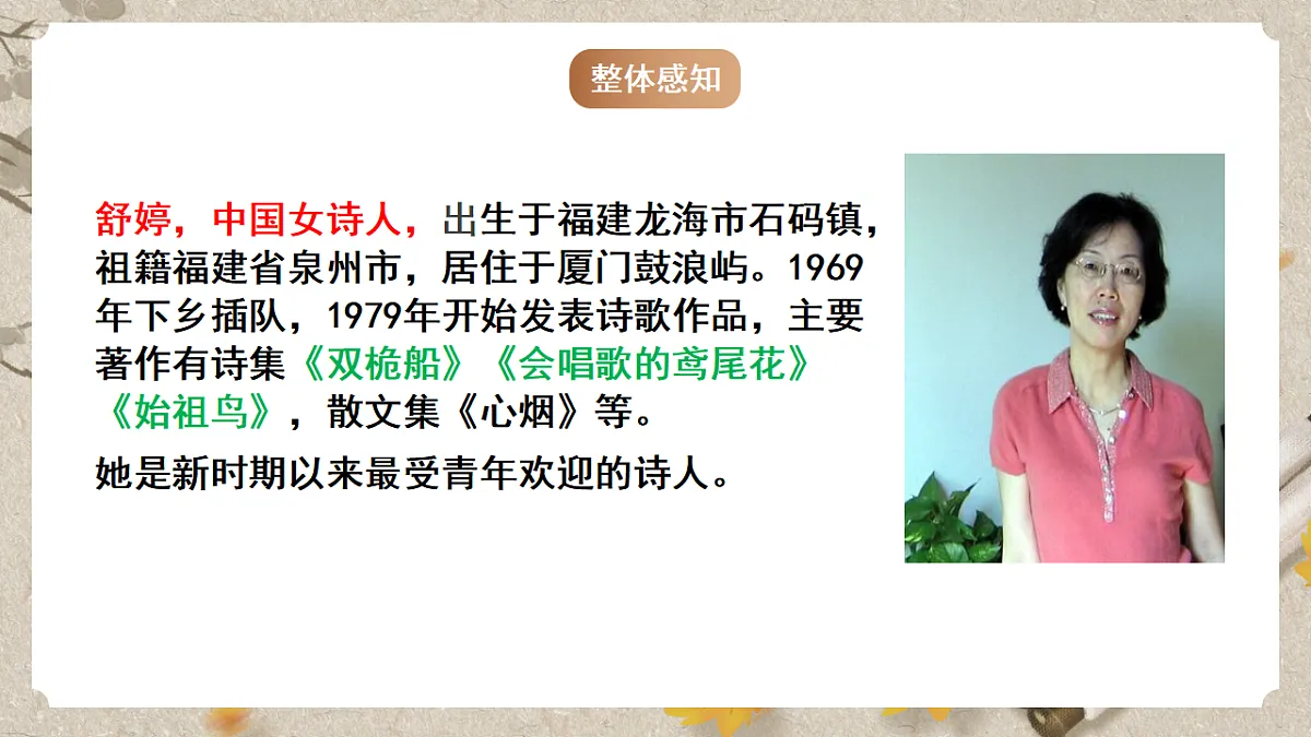 人教部编版语文九下1.1《祖国啊,我亲爱的祖国》课件第8页