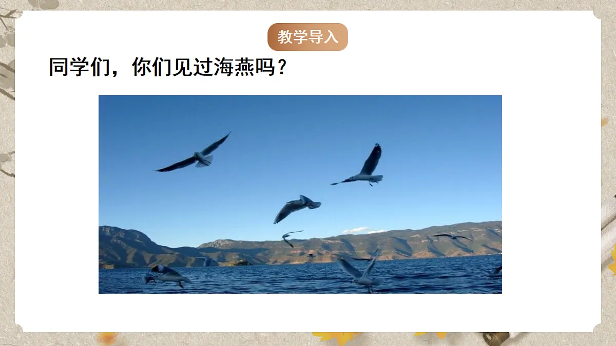 人教部编版语文九下1.4《海燕》课件第2页