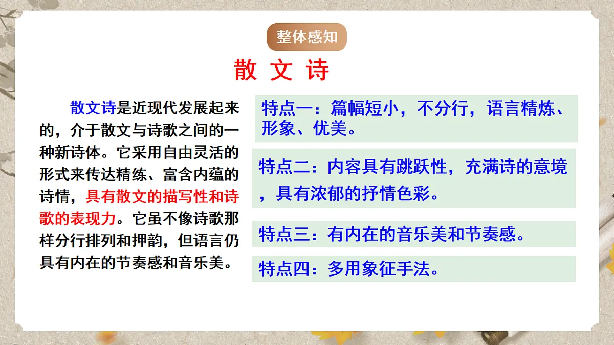 人教部编版语文九下1.4《海燕》课件第8页