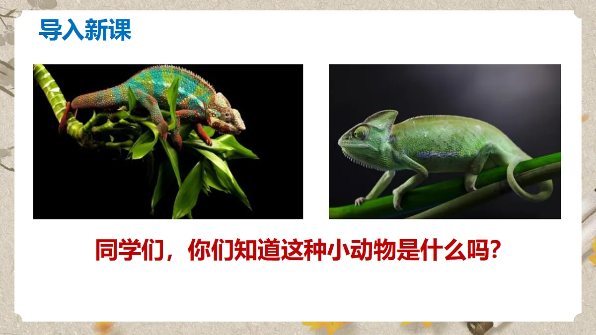 人教部编版语文九下2.6《变色龙》课件第3页