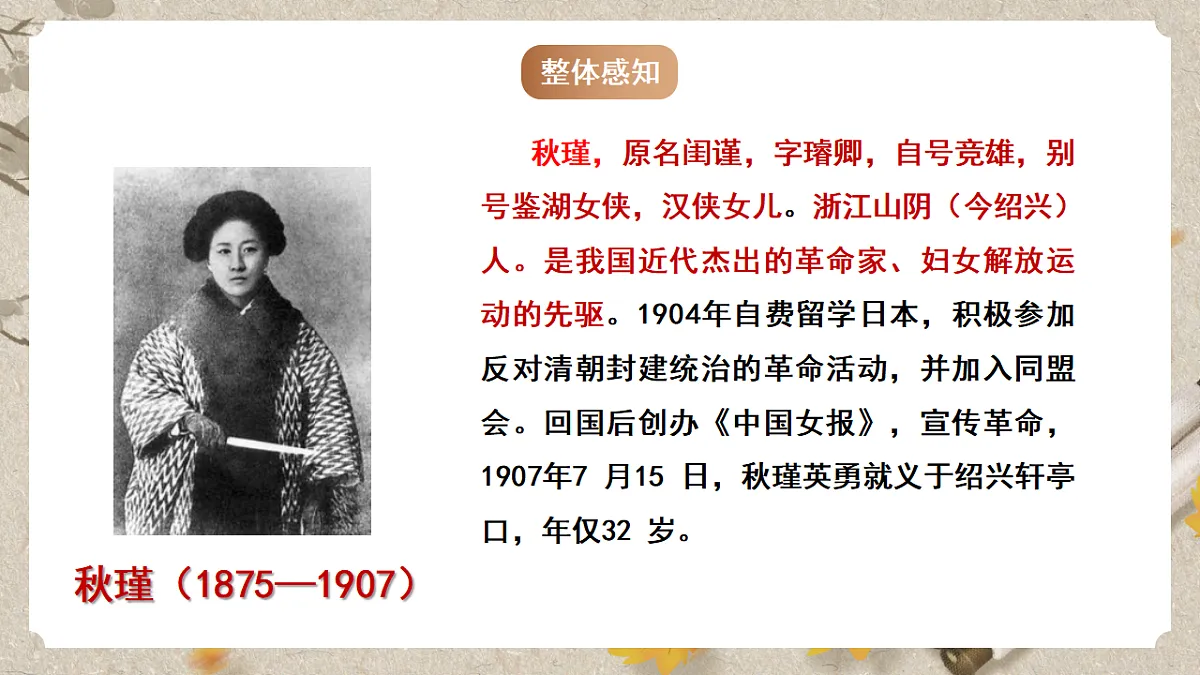 人教部编版语文九下3.12《词四首》之《满江红》课件第4页