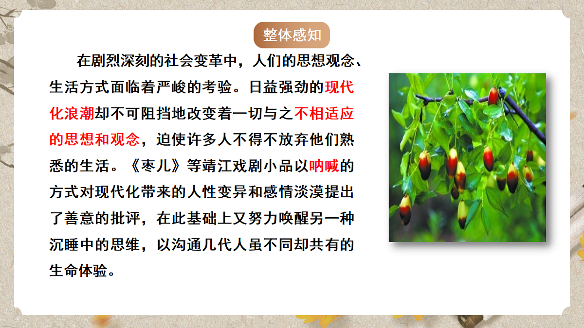 人教部编版语文九下5.19《枣儿》课件第5页