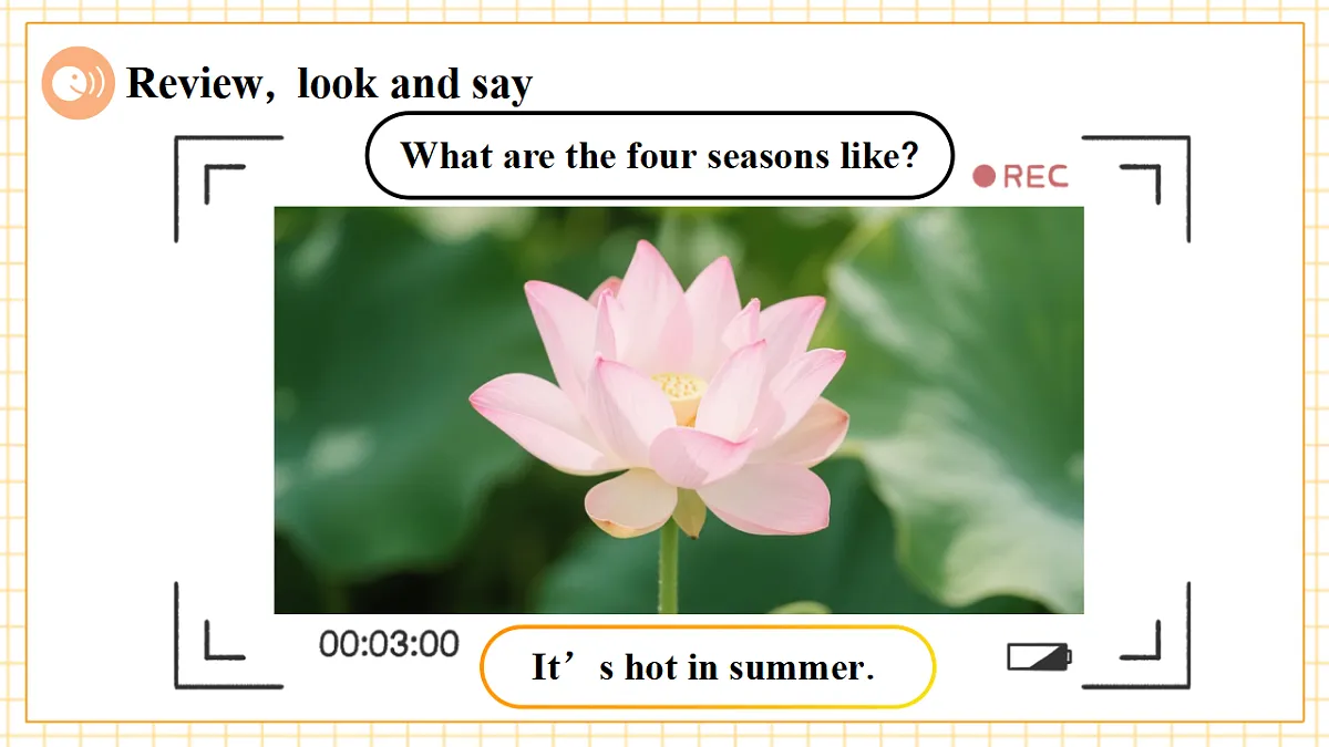 Unit 5 How are the seasons different Period 2 Explore 课件(共56张)第5页