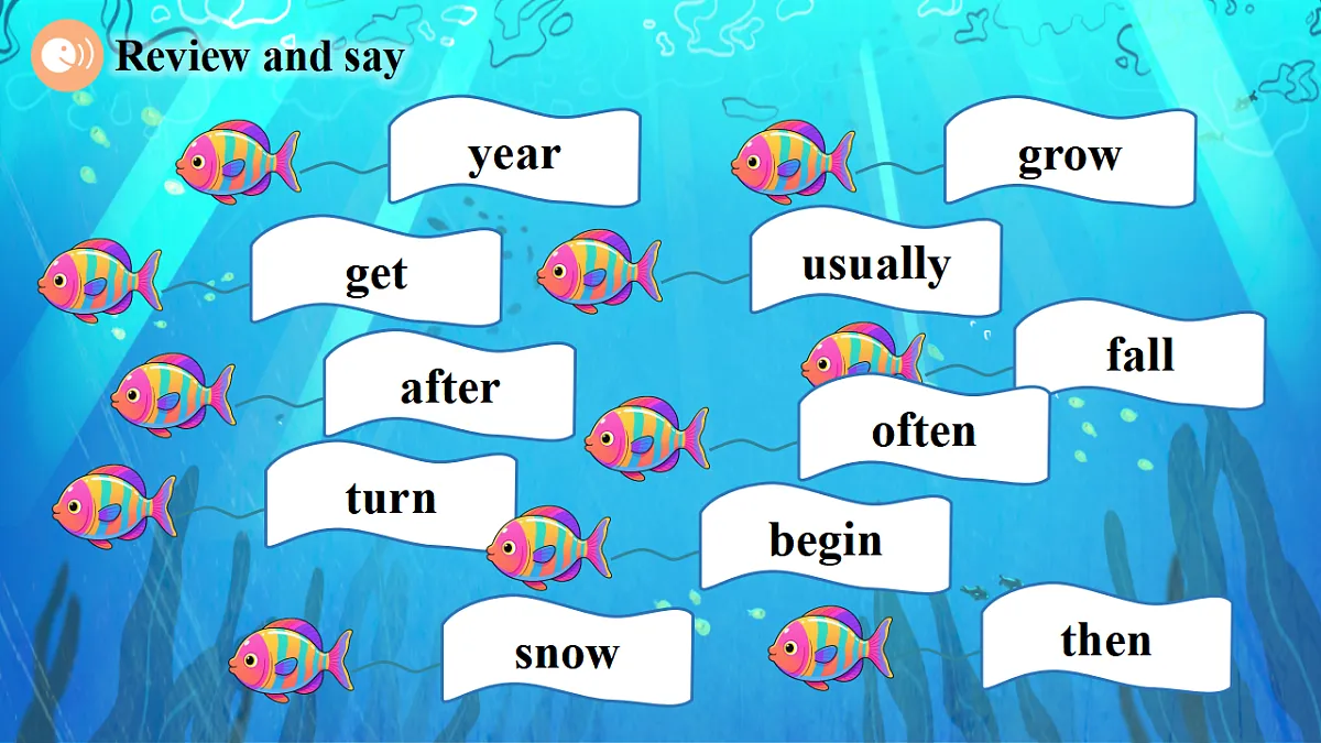 Unit 5 How are the seasons different Period 3 Communicate 课件(共38张)第5页