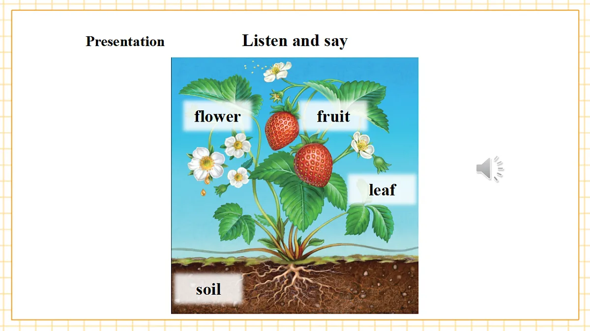 Unit 6 What's amazing about plants Period 1 Get ready 课件(共32张)第6页