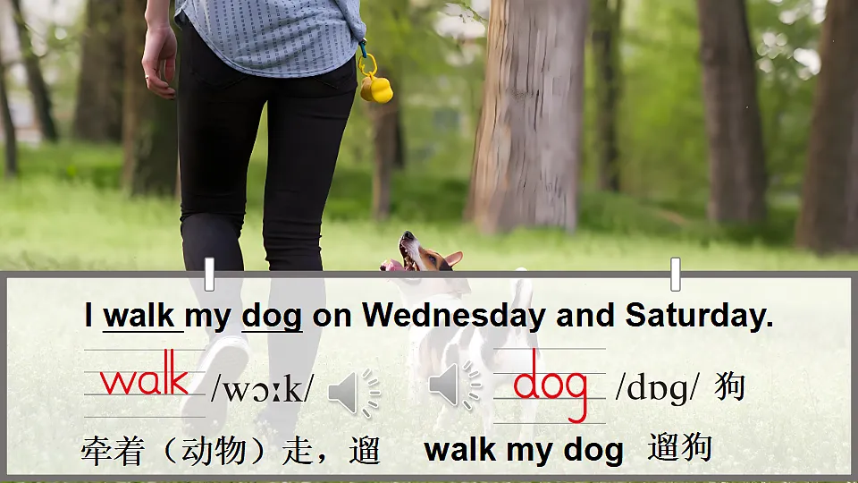 17565830第6页