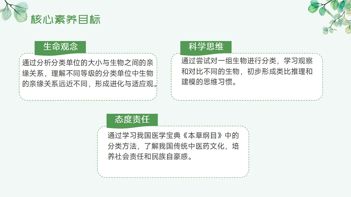 17565875第4页