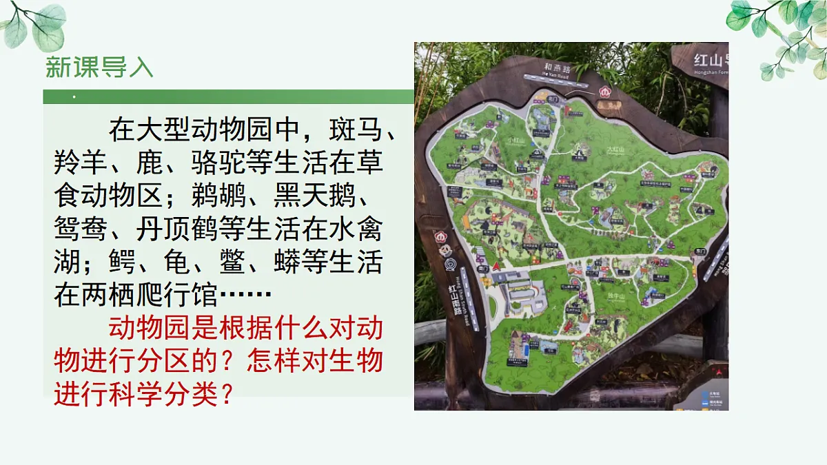 17565875第5页