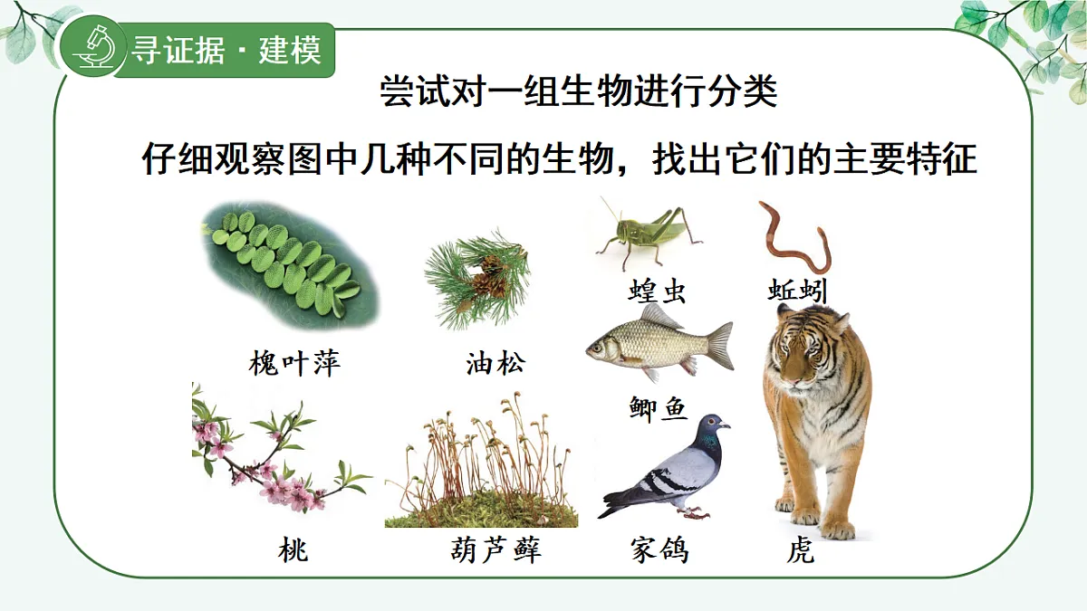 17565875第6页