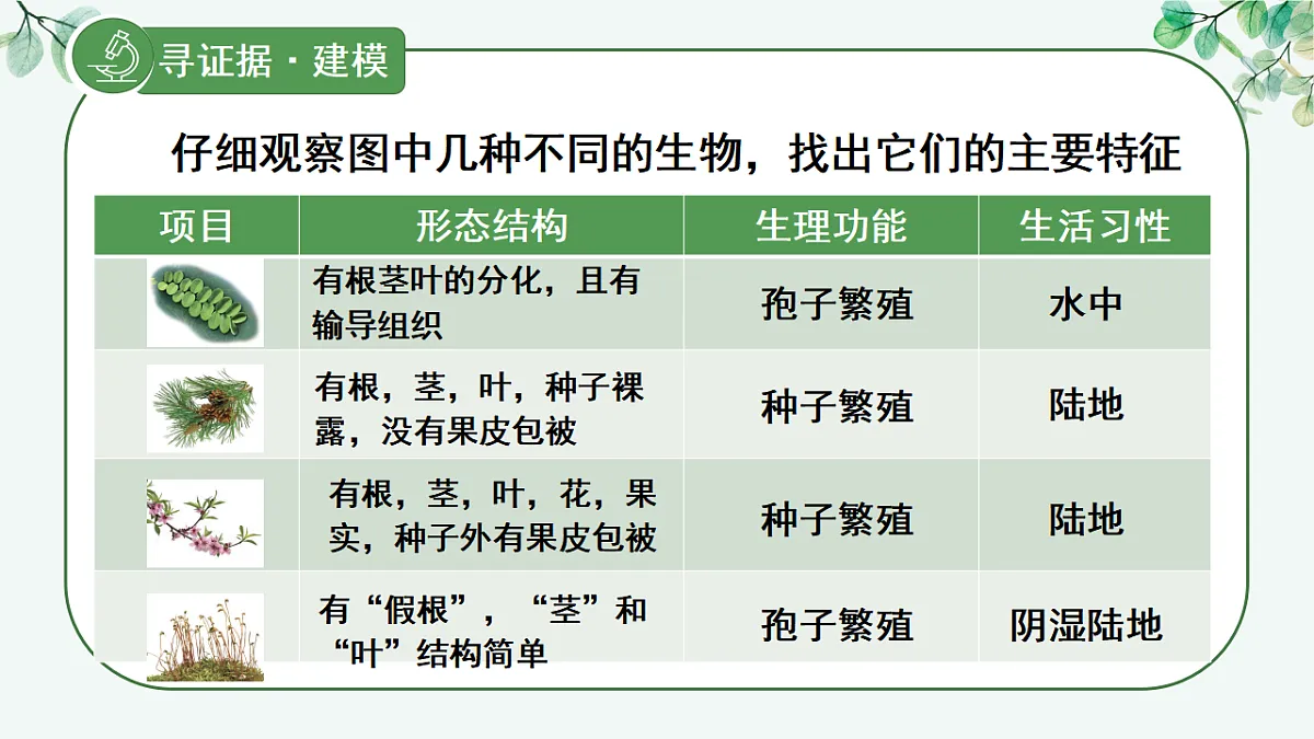 17565875第7页