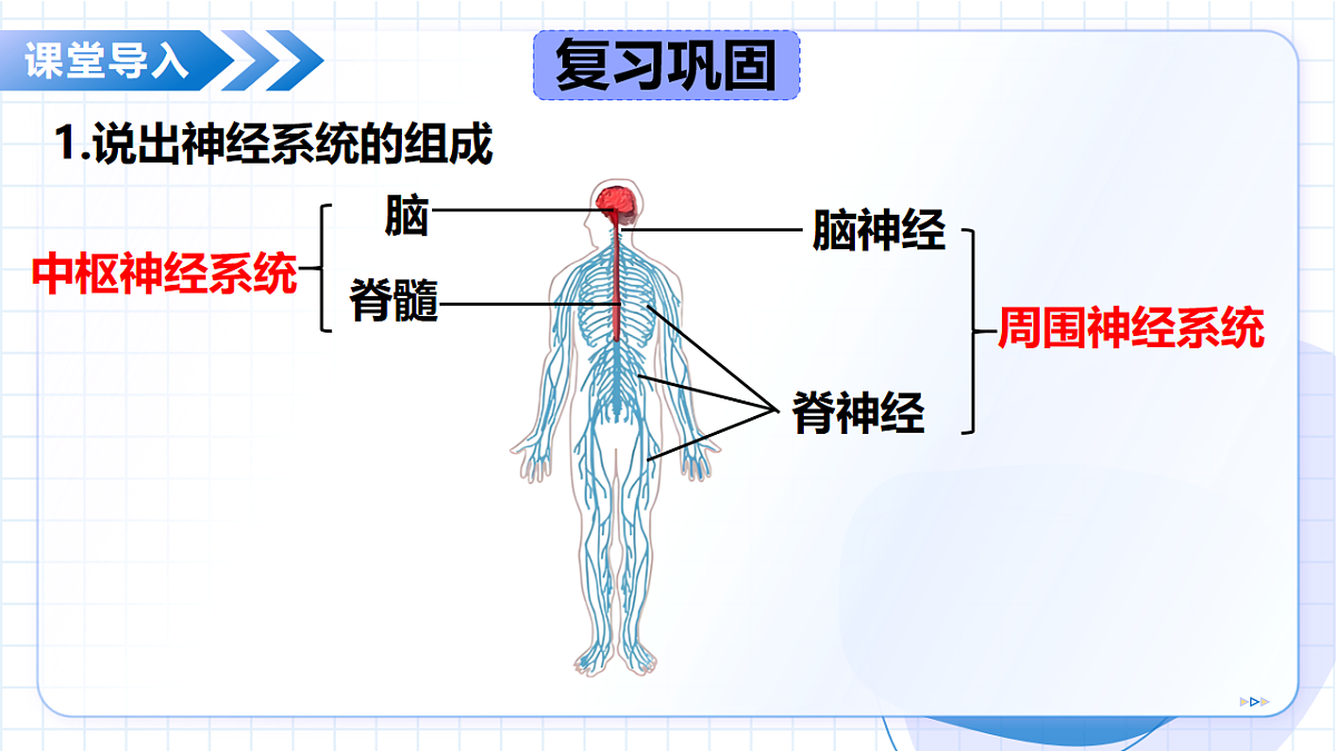 17565880第5页